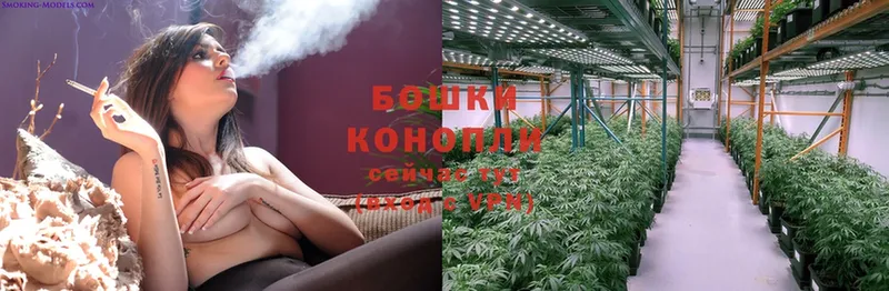 закладка  Велиж  Бошки марихуана OG Kush 